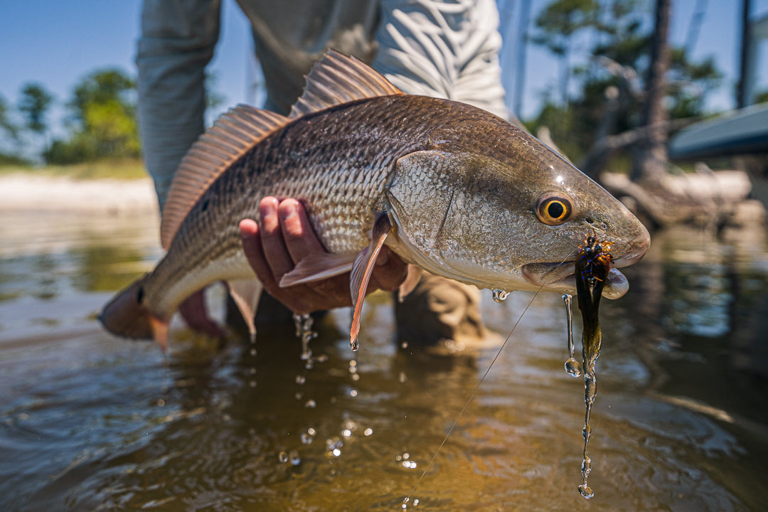 Flies – The Skiff Wanderer