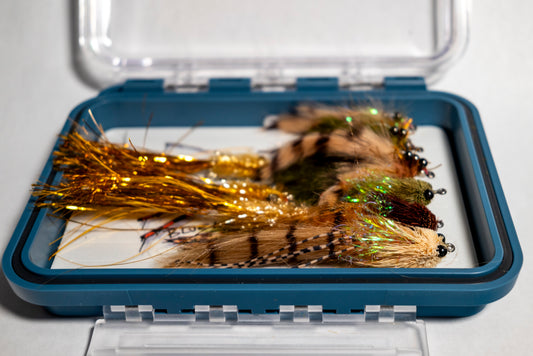 bundle of redfish flies in a plan d fly box