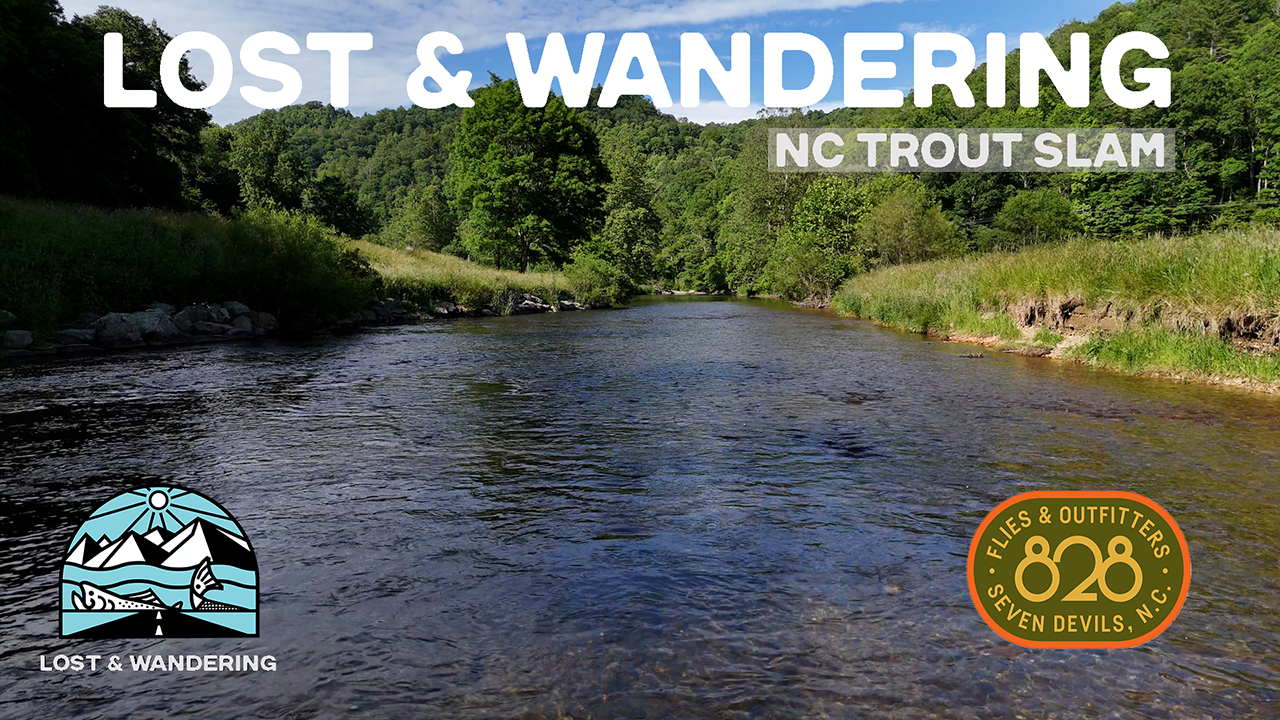 Fly Fishing for Wild Trout | Lost & Wandering - 828 Flies
