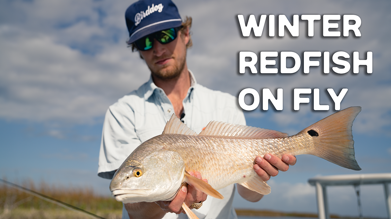 Winter Redfish on Fly
