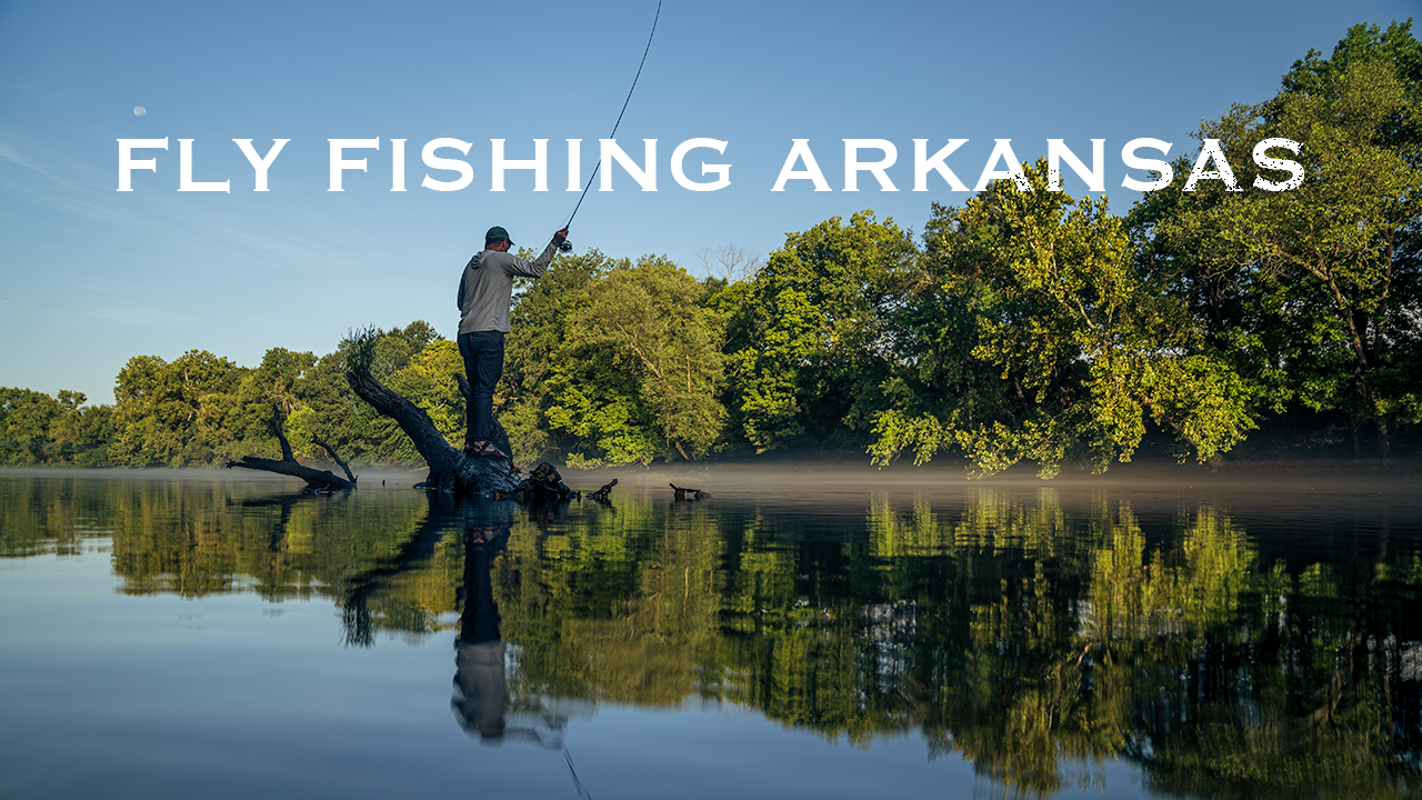 Wandering West Part 1 | Fly Fishing Arkansas with ‪@DrewLR‬