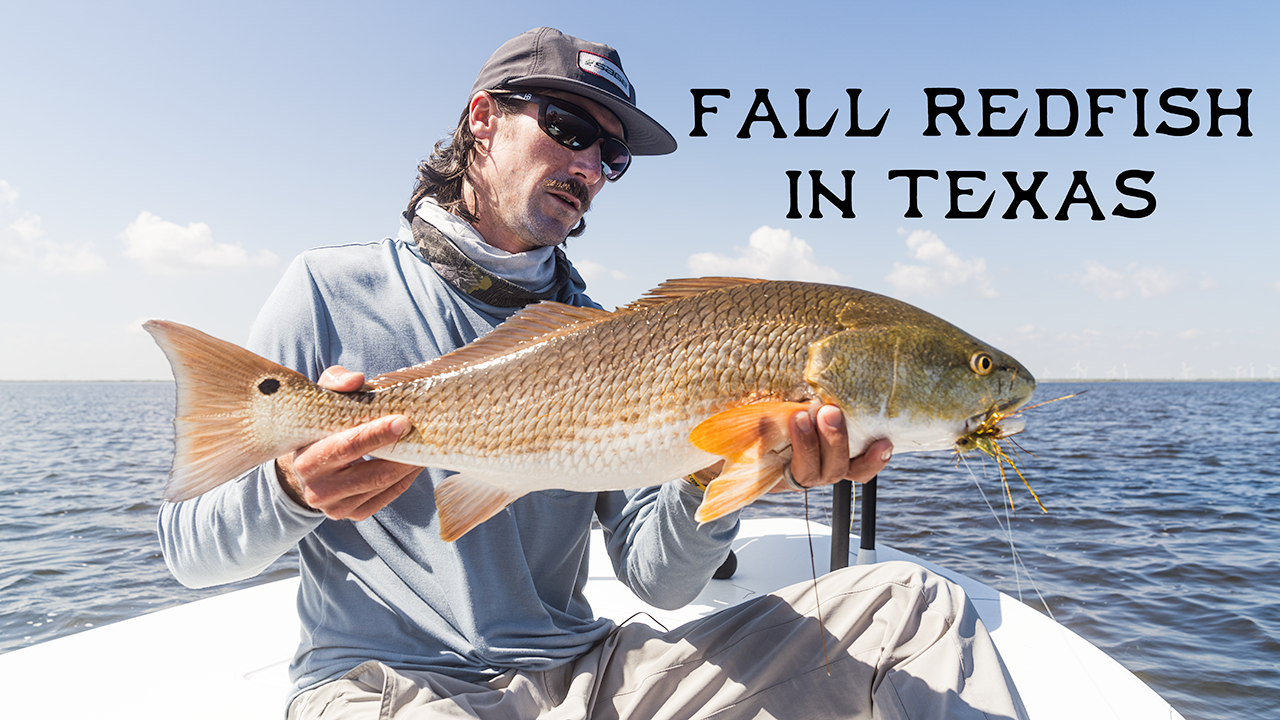 Fall Redfish in Texas