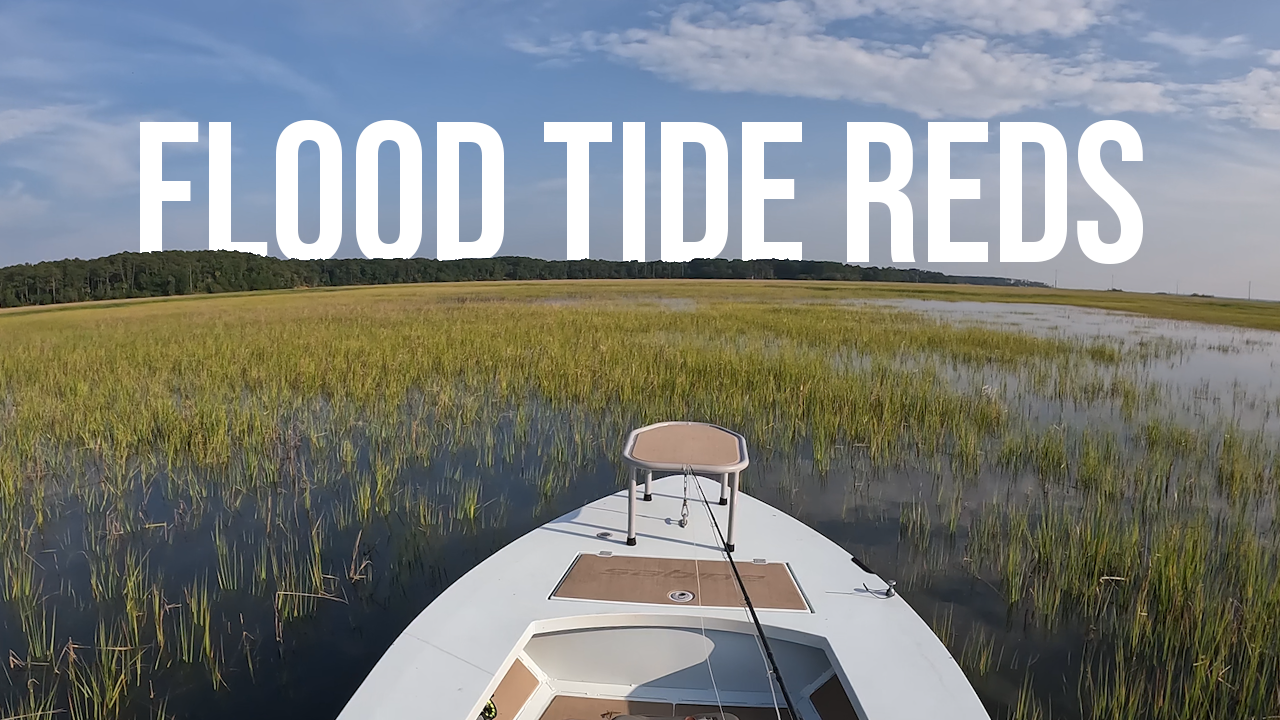 Solo SC Flood Tide