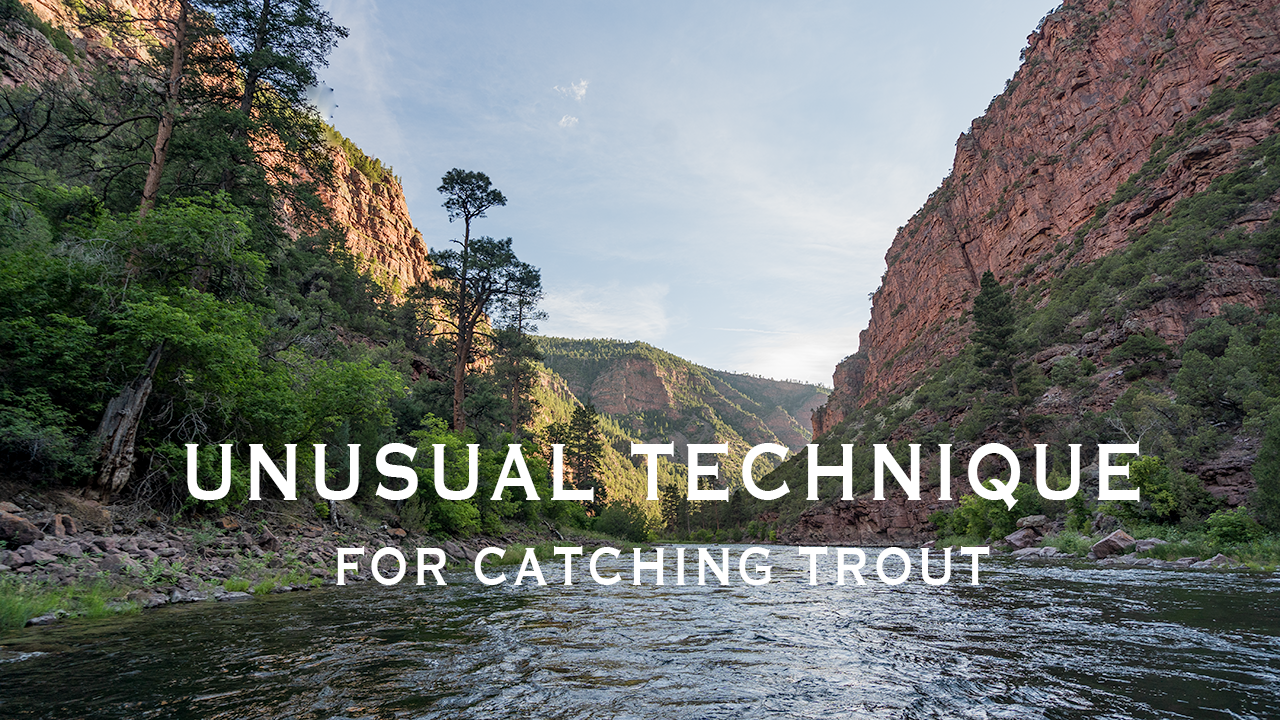 Wandering West Part 7 | Unusual Techniques for Catching Trout