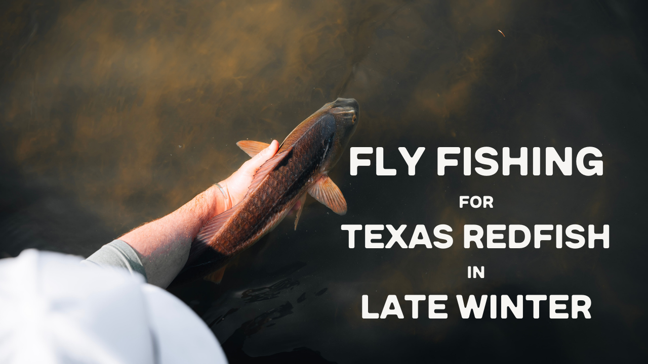 Late Winter Redfish in Texas | Fly Fishing with Ben Sweat