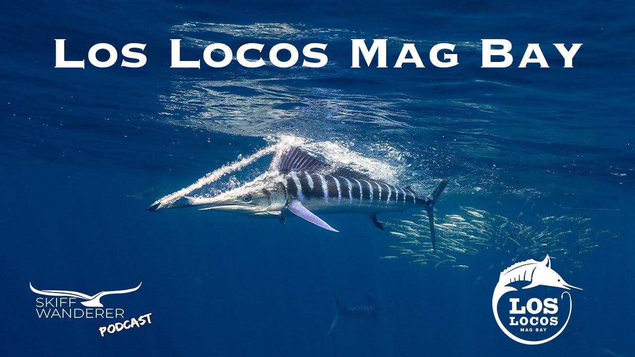 Fly Fishing for Marlin and Exploring Baja