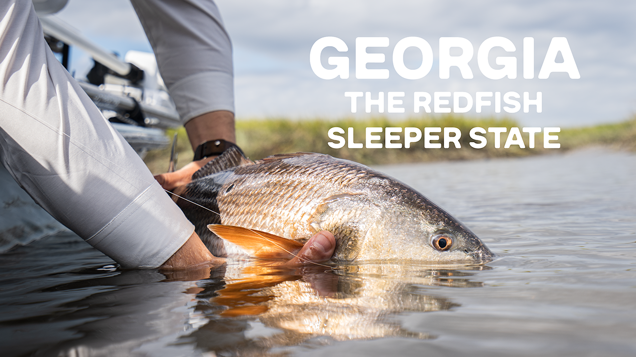 Fishing for Redfish in Georgia | Lost & Wandering Vol. 2