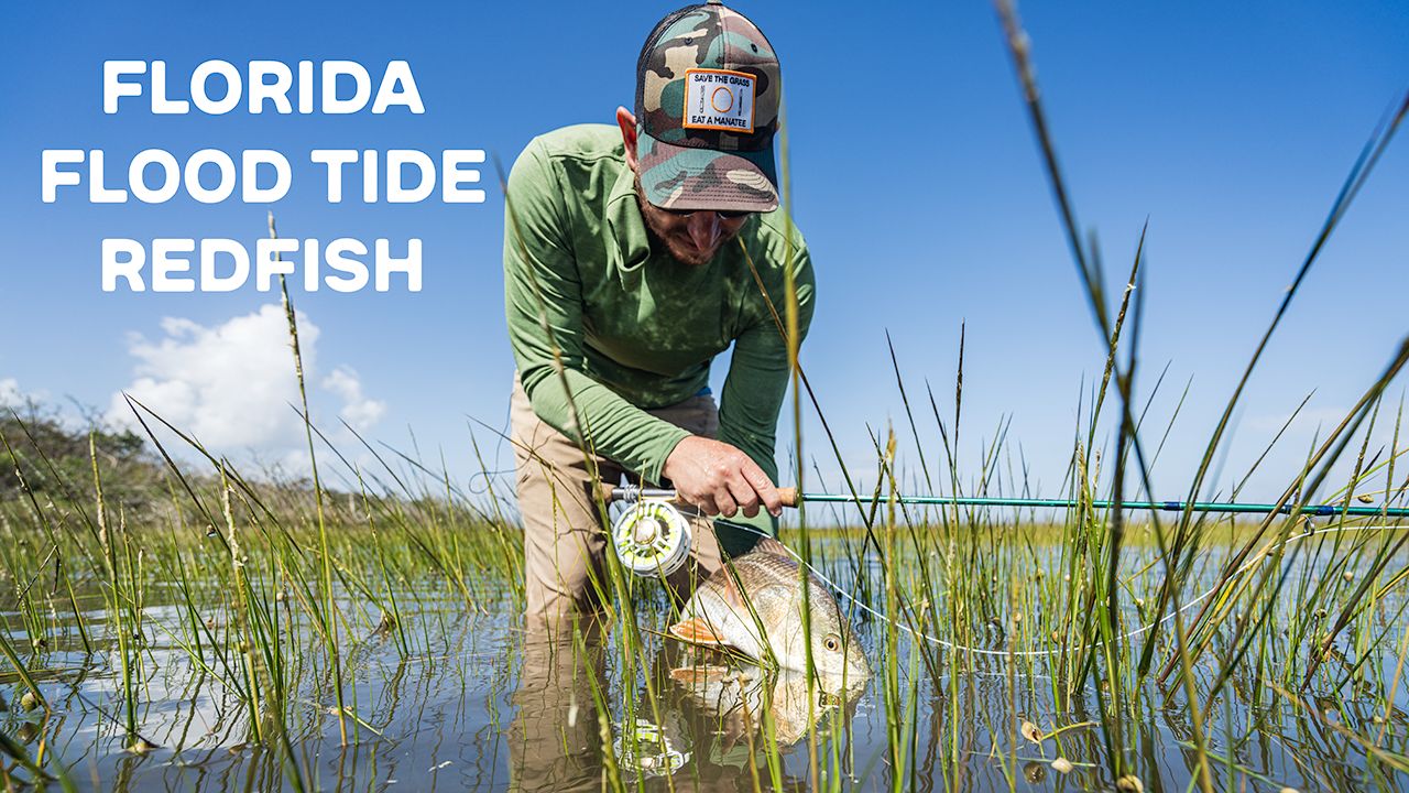 Redfish and Sea Trout in St. Augustine, Florida | Lost & Wandering Vol. 2
