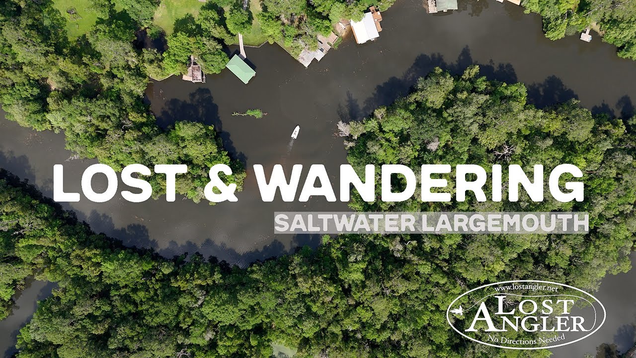 Fly Fishing for Bass in Saltwater | Lost & Wandering - Pilot