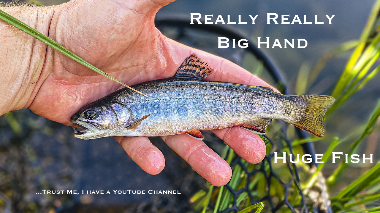 Wandering West Part 2 | First Brook Trout