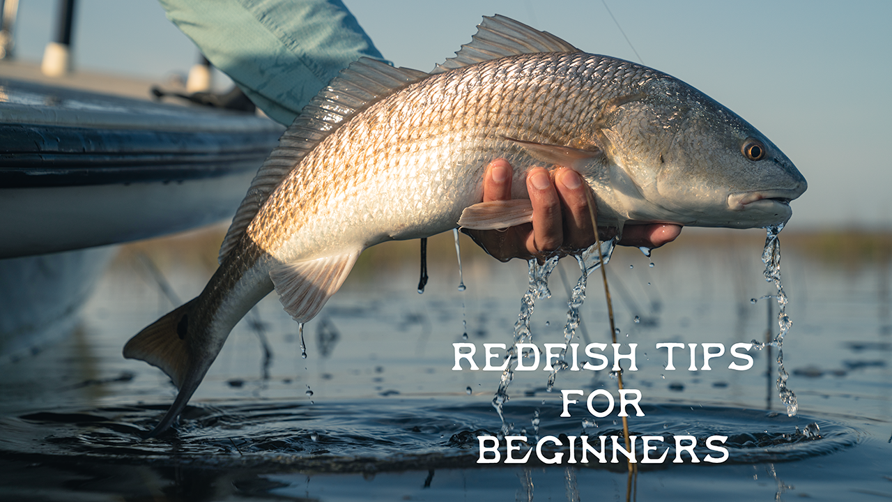 Redfish Tips for Beginners