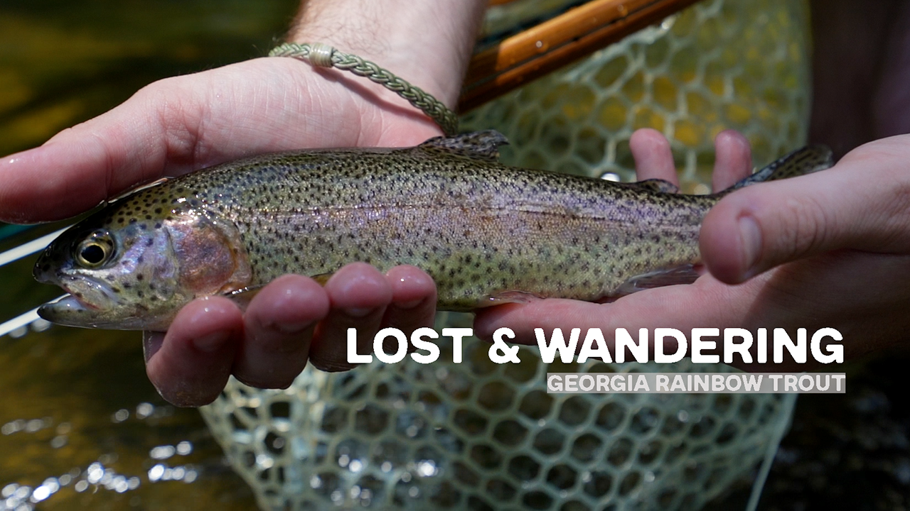 Fly Fishing for Rainbow Trout in Georgia | Lost & Wandering - Shady Creek Expeditions