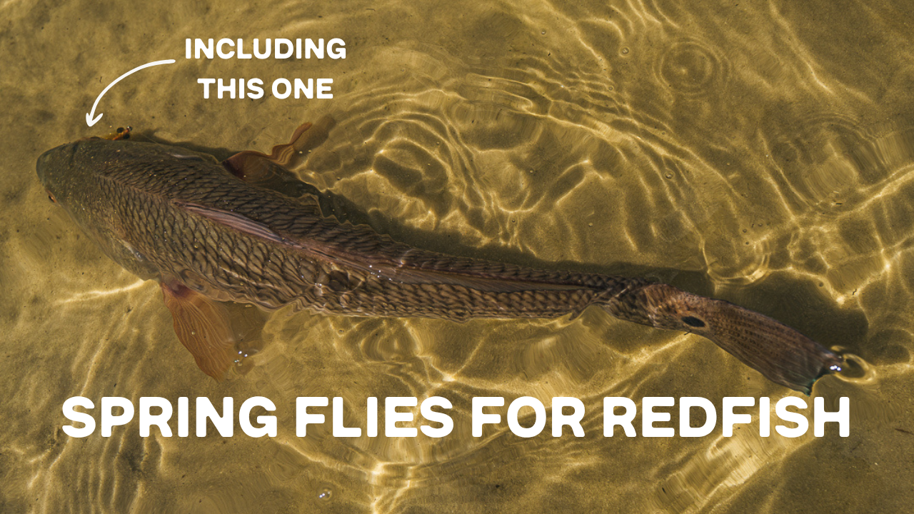 5 Flies I Love for Spring Redfish