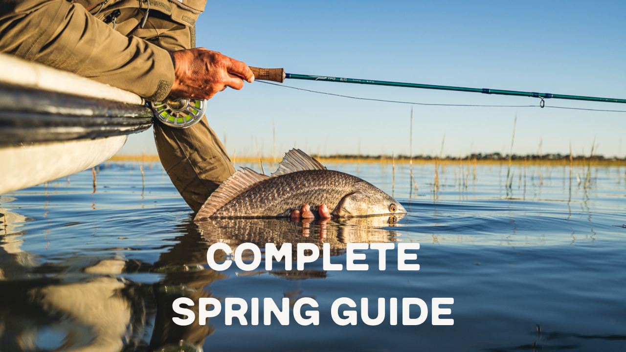 Spring Redfish Tips that ACTUALLY WORK