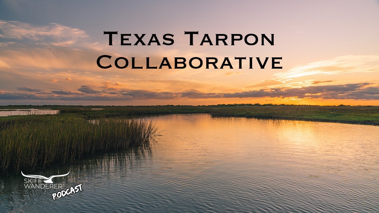 The State of Tarpon in Texas