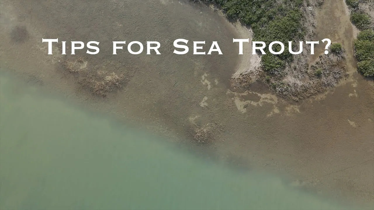 Tips for Fly Fishing for Sea Trout