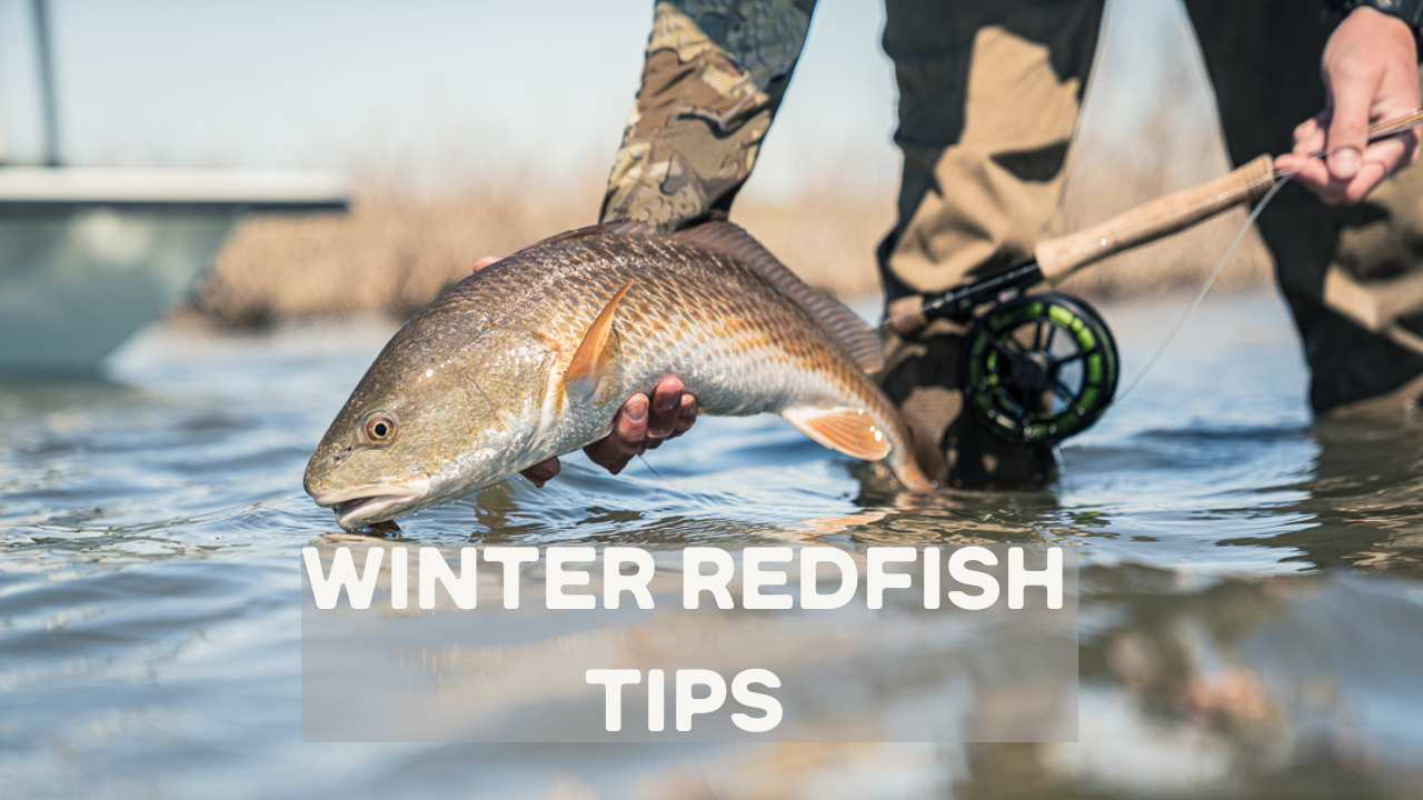 How to Catch Redfish in the WINTER