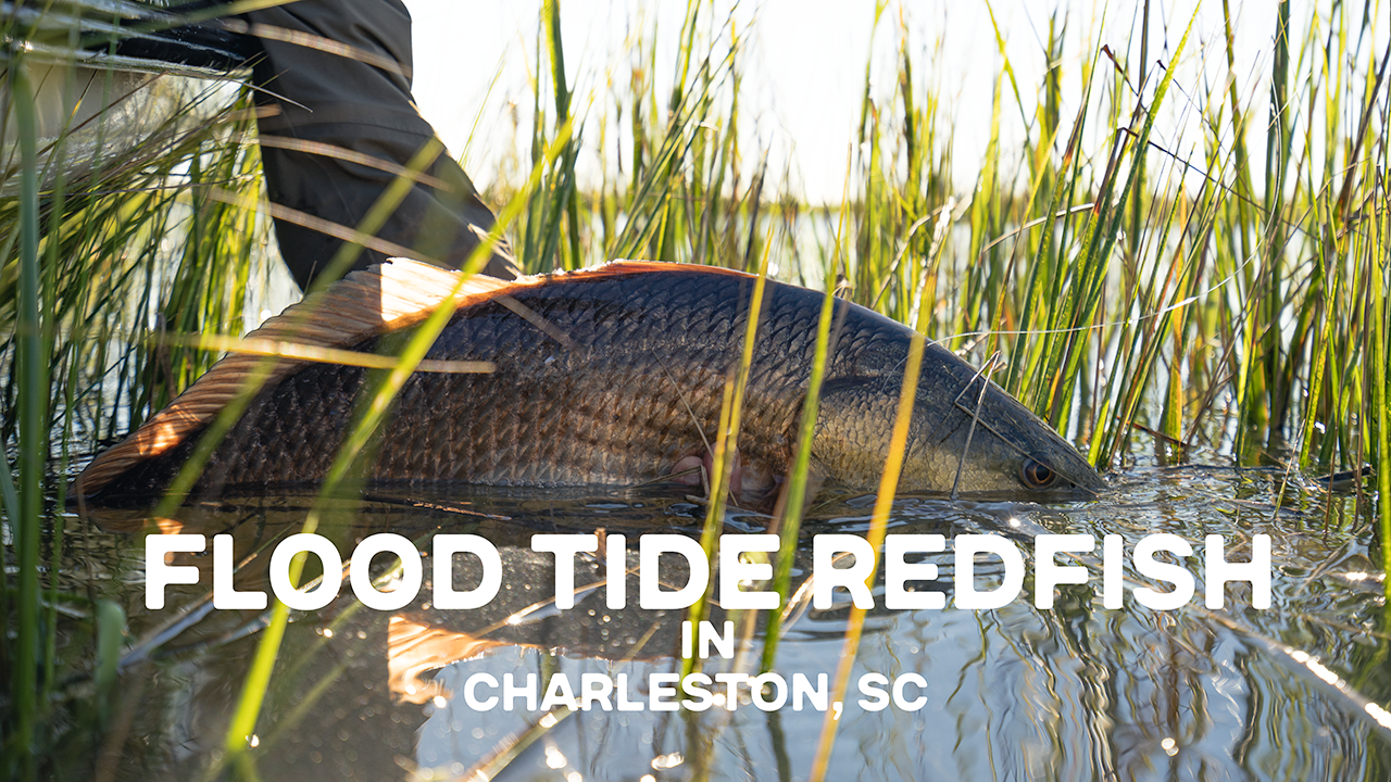 Flood Tide Redfish in Charleston, SC