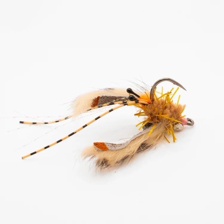 Dinghy Crab - BlueLineCo