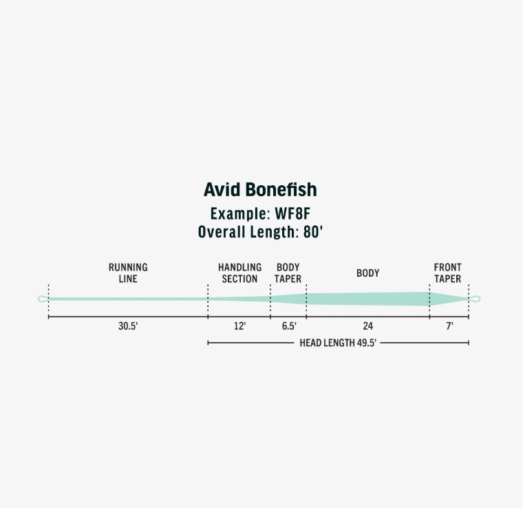 RIO Avid Bonefish