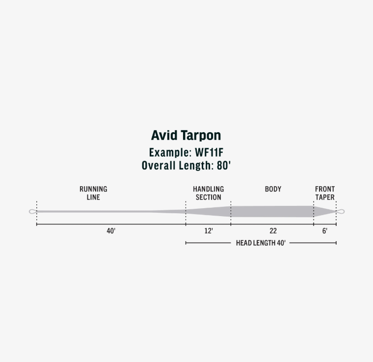 RIO Avid Tarpon