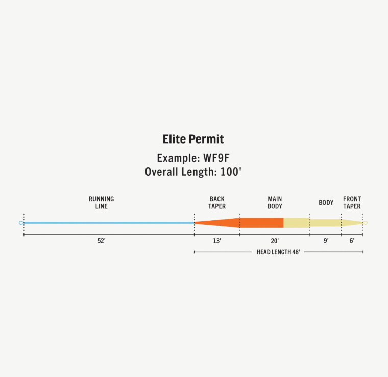 RIO Elite Permit