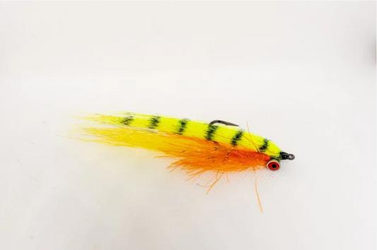 Colorful fly fishing lure on a white background. perfect for redfish
