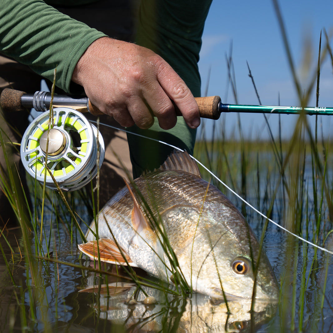 fly Fishing rod with reel and caught fish in water surrounded by grass