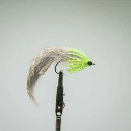 Fishing fly with green and brown feathers on a gray background. perfect for redfish. shclapen dawg chartreuse natural
