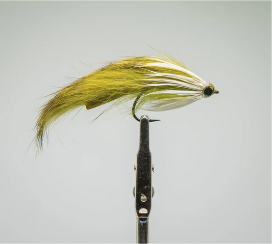 Fishing fly with yellow feathers on a gray background. Perfect for redfish. schlapen dawg olive white