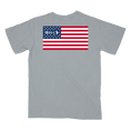 Load image into Gallery viewer, American fly t-shirt in gray back view
