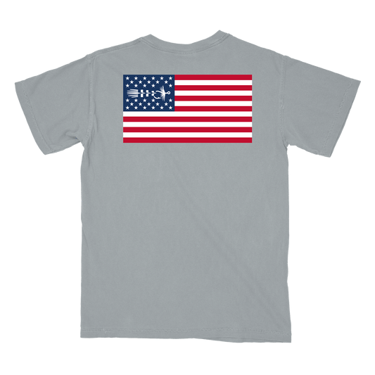 American fly t-shirt in gray back view